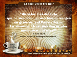 1eCoffee Mateo 6.26 050913