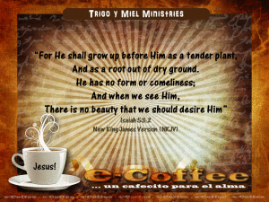 1eCoffee Isaiah 53.2 121514