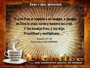 1eCoffee Genesis 1.27-28 160115