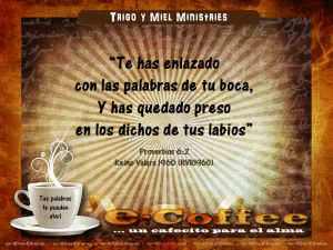 1eCoffee Proverbios 6.2 230215