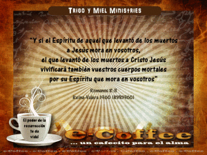 1eCoffee Romanos 8.11 080415